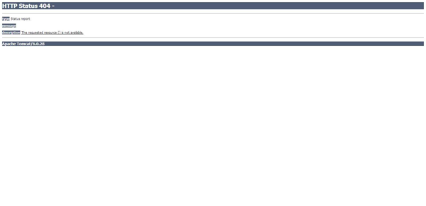 Apache Tomcat-6.0.28 - Error report.png